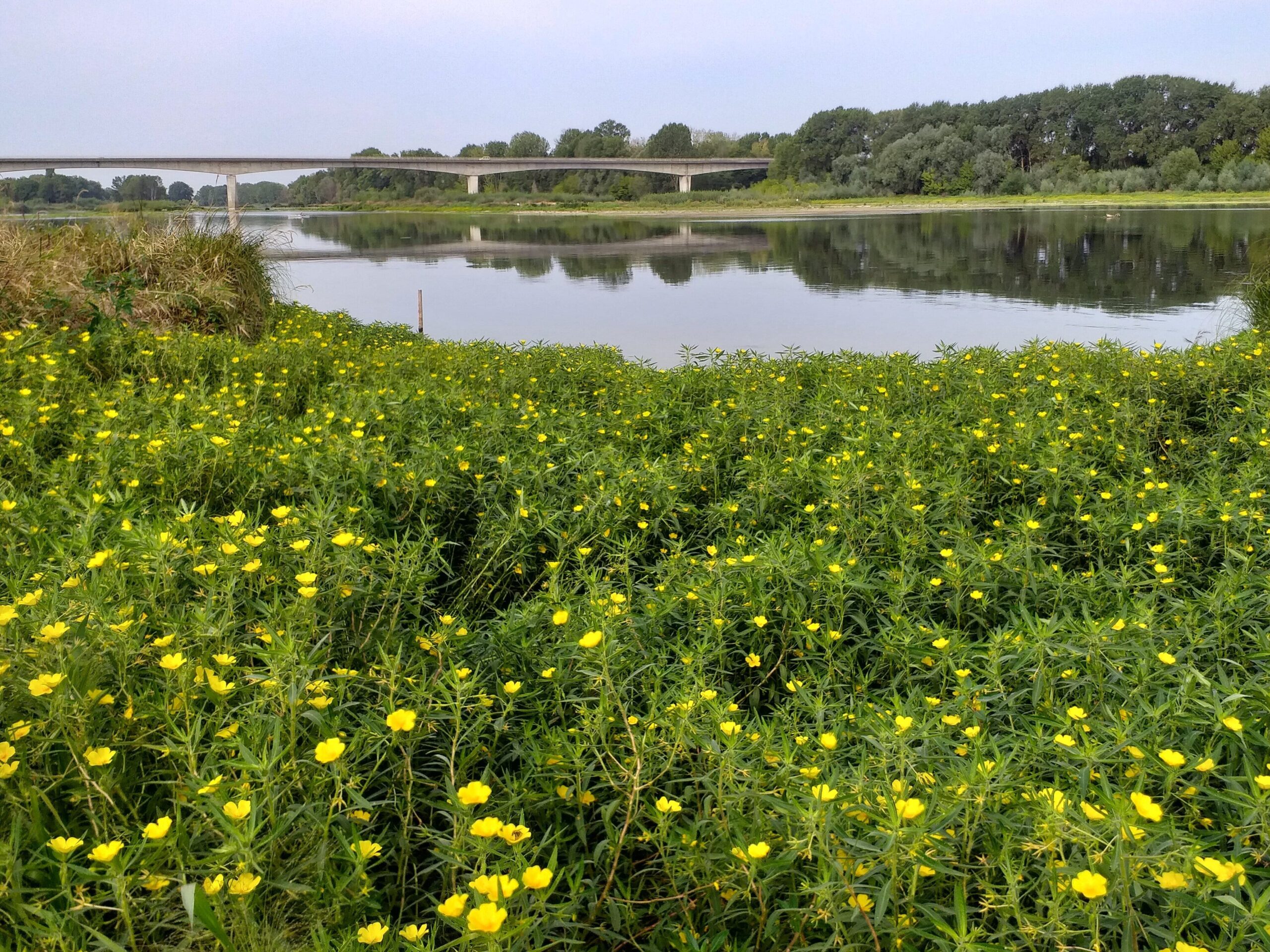 20190827_100928 (1) (1)
