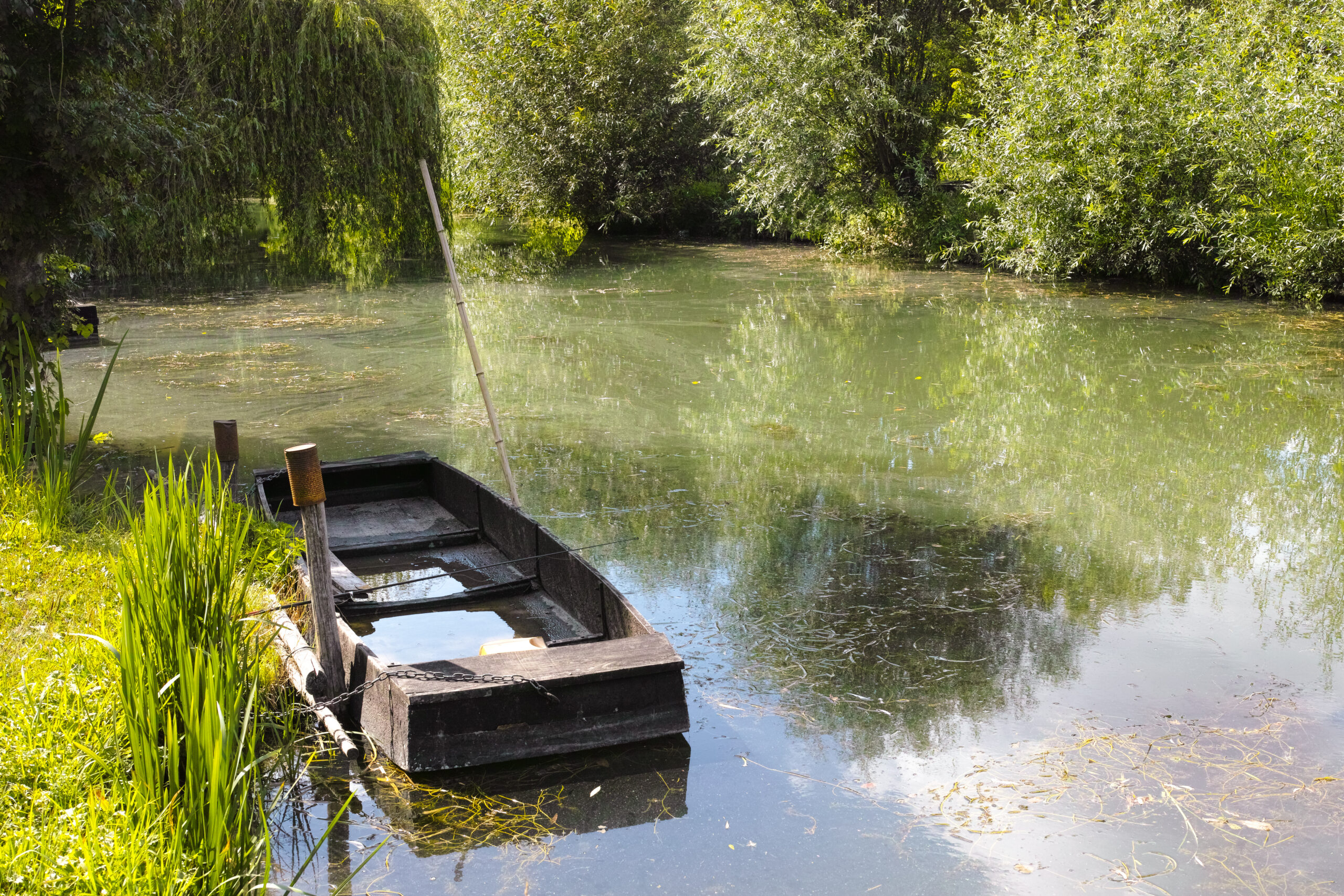 Small,Boat,In,Marshes,In,Bourges,,Berry,Province,,Centre-val,De