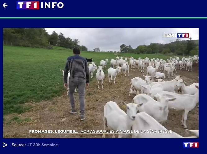 Capture d’écran 2025-01-31 164943