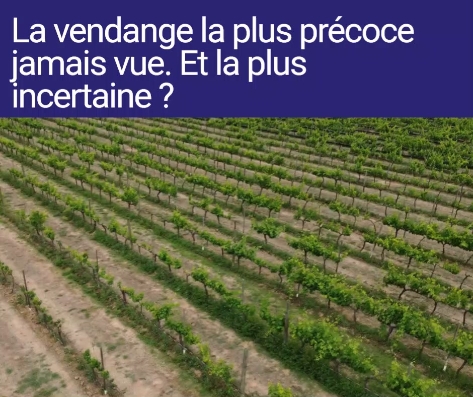 Le Comptoir