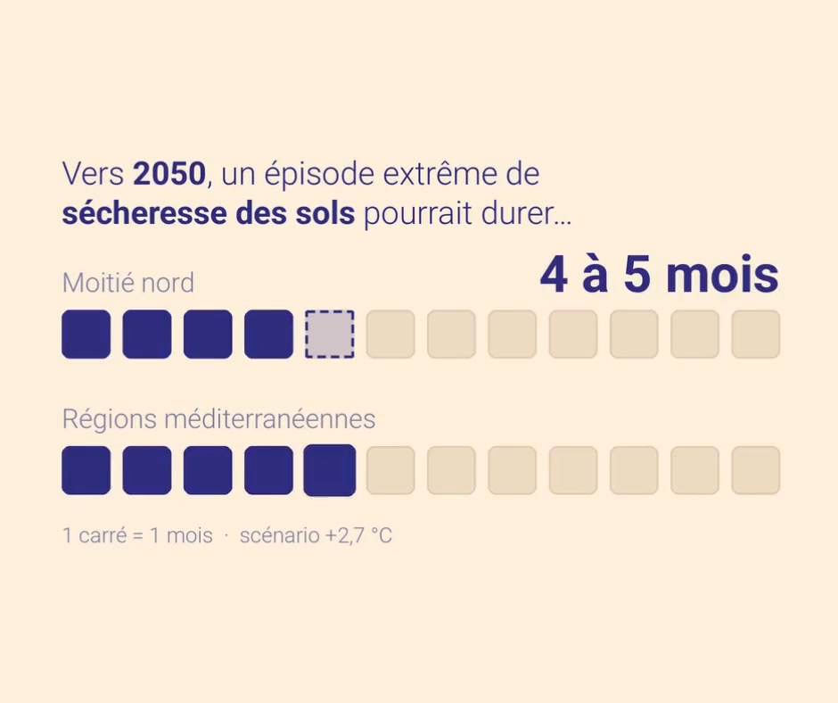 Le Comptoir