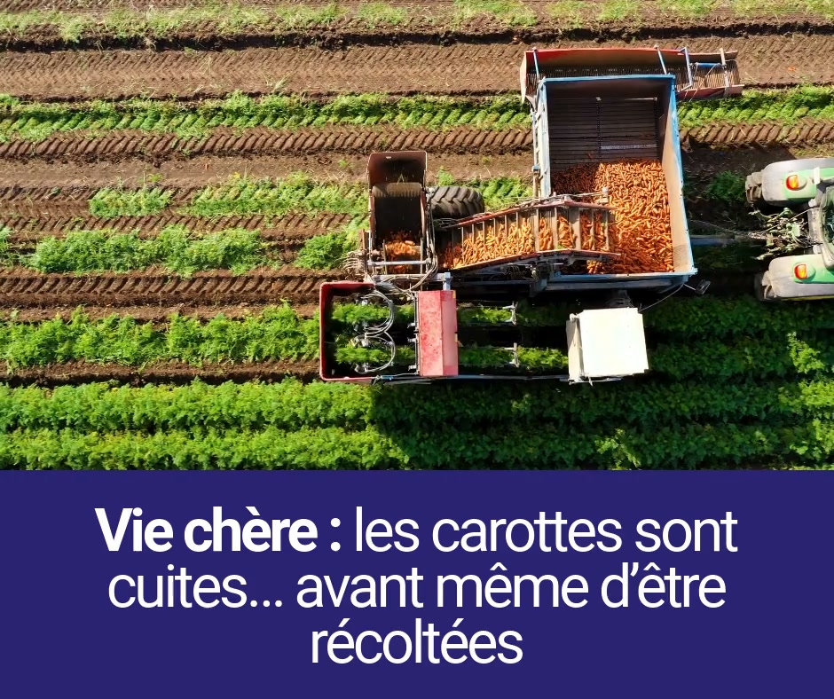 Le Comptoir