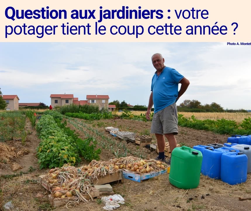 Le Comptoir